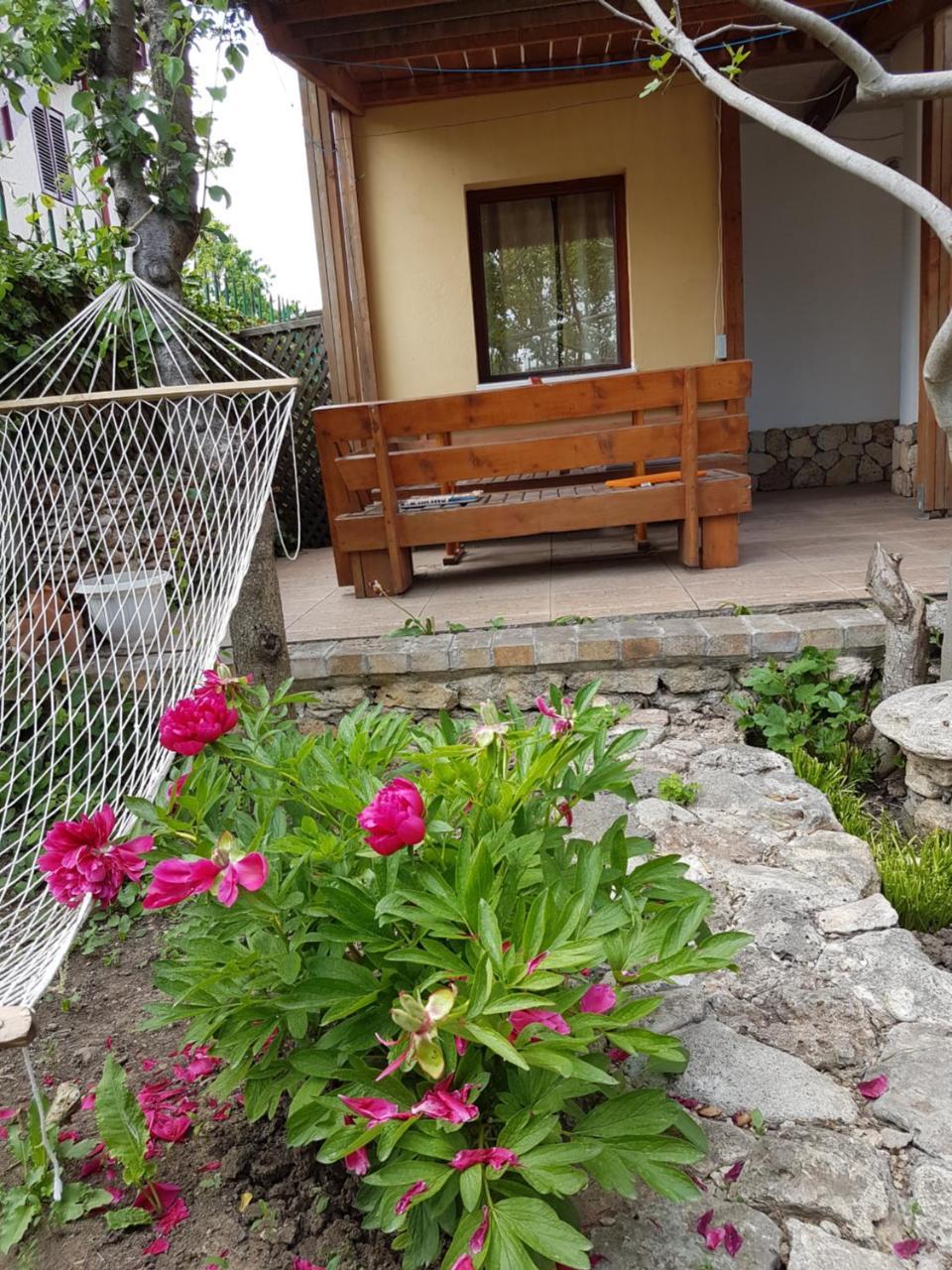 Casa Nikita Hotell Vama Veche Exteriör bild