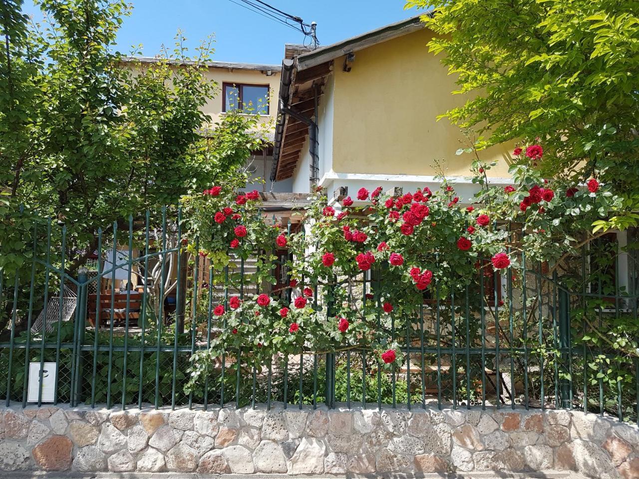 Casa Nikita Hotell Vama Veche Exteriör bild